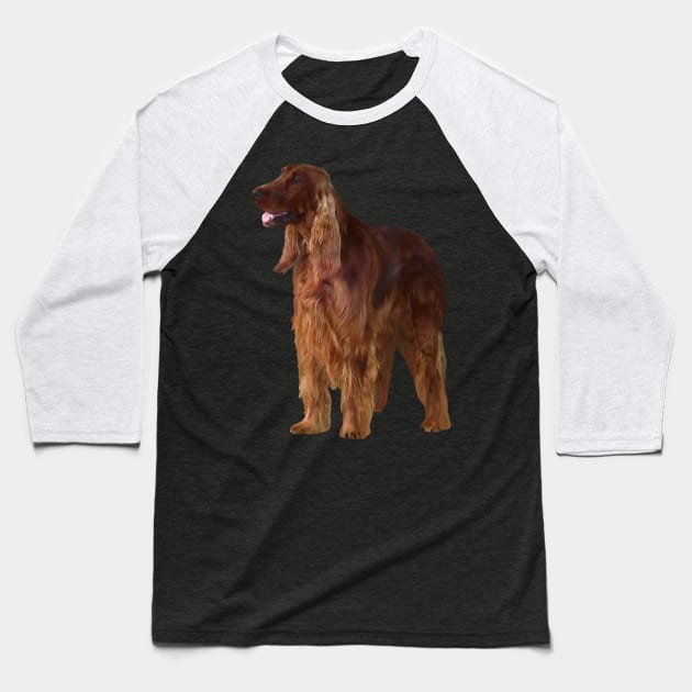 Irish Setter Baseball T-Shirt by SusanSavad